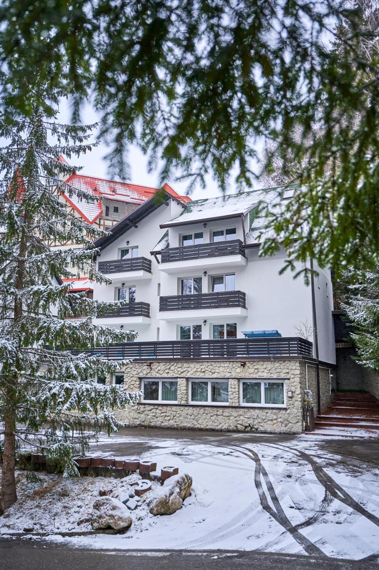 Family Treez Premium Apartments Пояна-Брашов Экстерьер фото